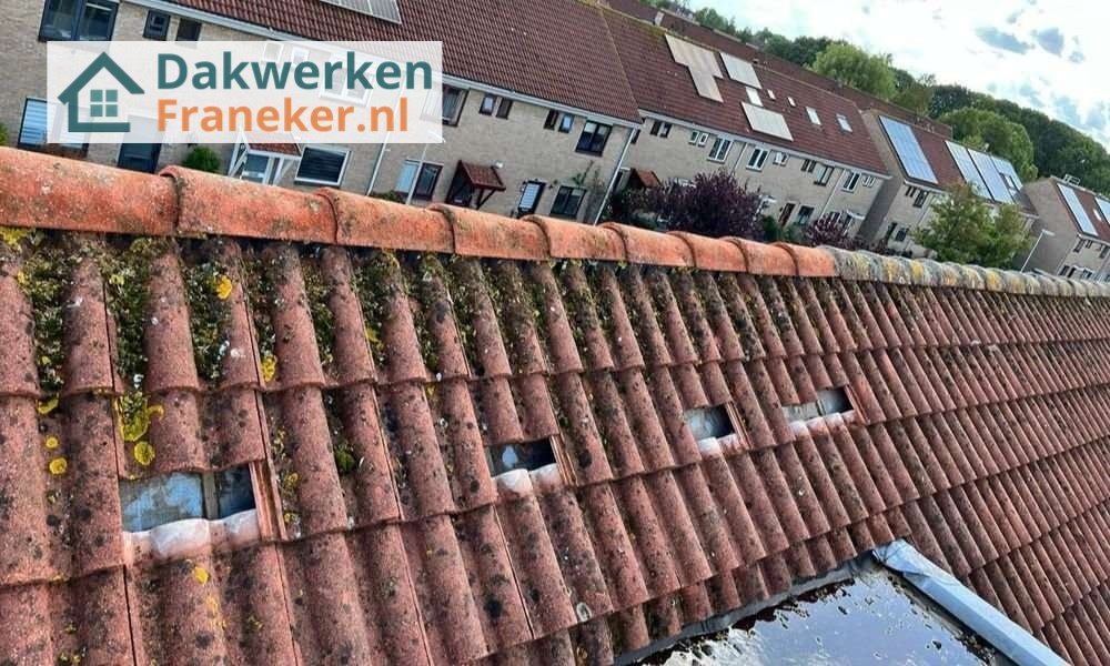 Een dakrenovatie bij oud pannendak Een dakrenovatie bij oud pannendak in Franeker